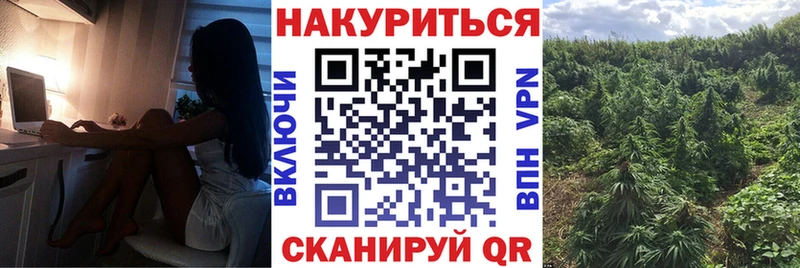 OMG tor  цена   Новосокольники  МАРИХУАНА AK-47 